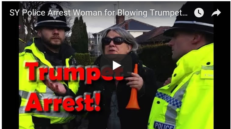 SY Police Arrest Woman for Blowing Trumpet at Sheffield Tree Felling Protest 